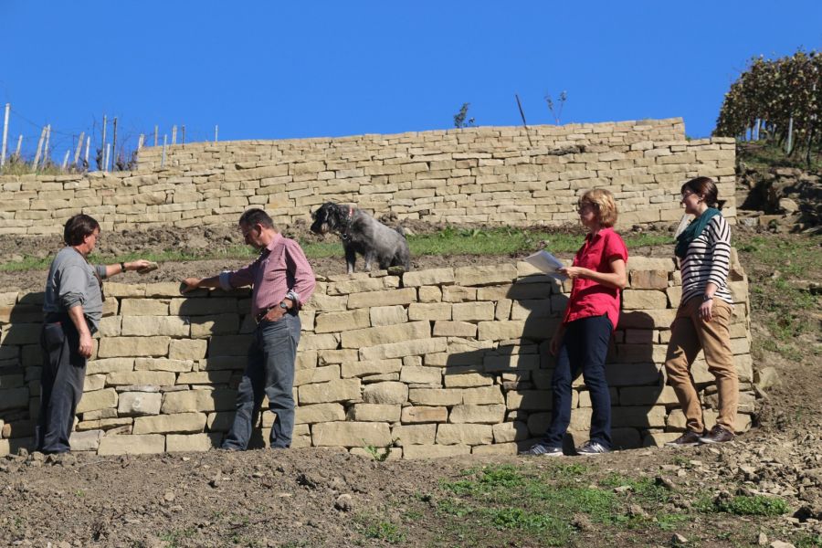 Sanierung der Trockenmauern Rauhberg in Obersulm-Sülzbach