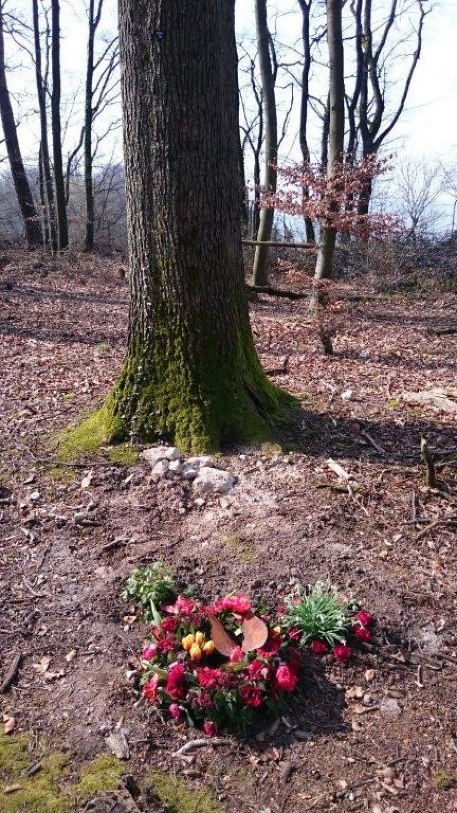 Grabschmuck an Urnengräbern und RuheForst Paradies/Obersulm